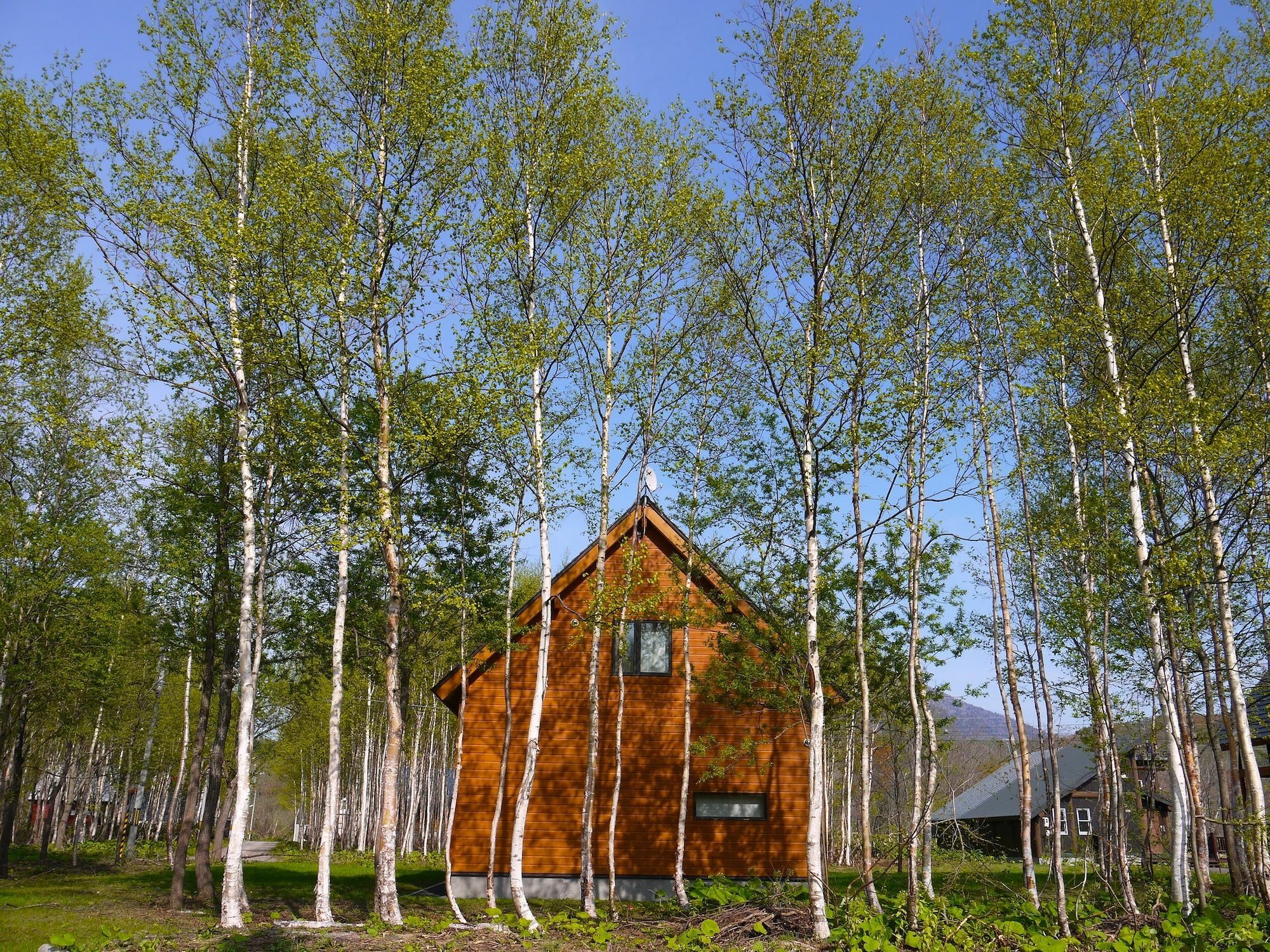 Country Resort Niseko Kutchan Zewnętrze zdjęcie